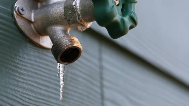 Best Residential Plumbing Services  in Crescent City, FL